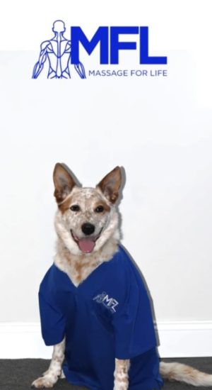 Screenshot Screenshot